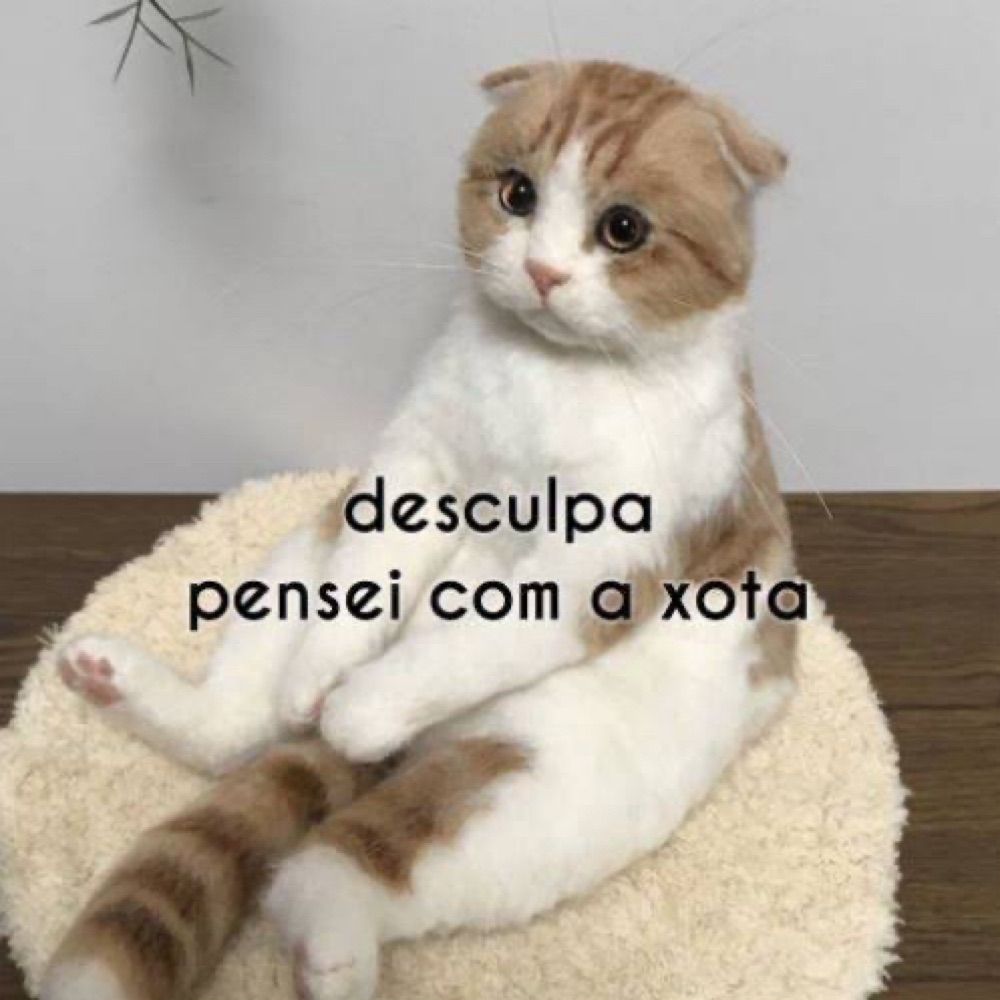 novinho passivo 