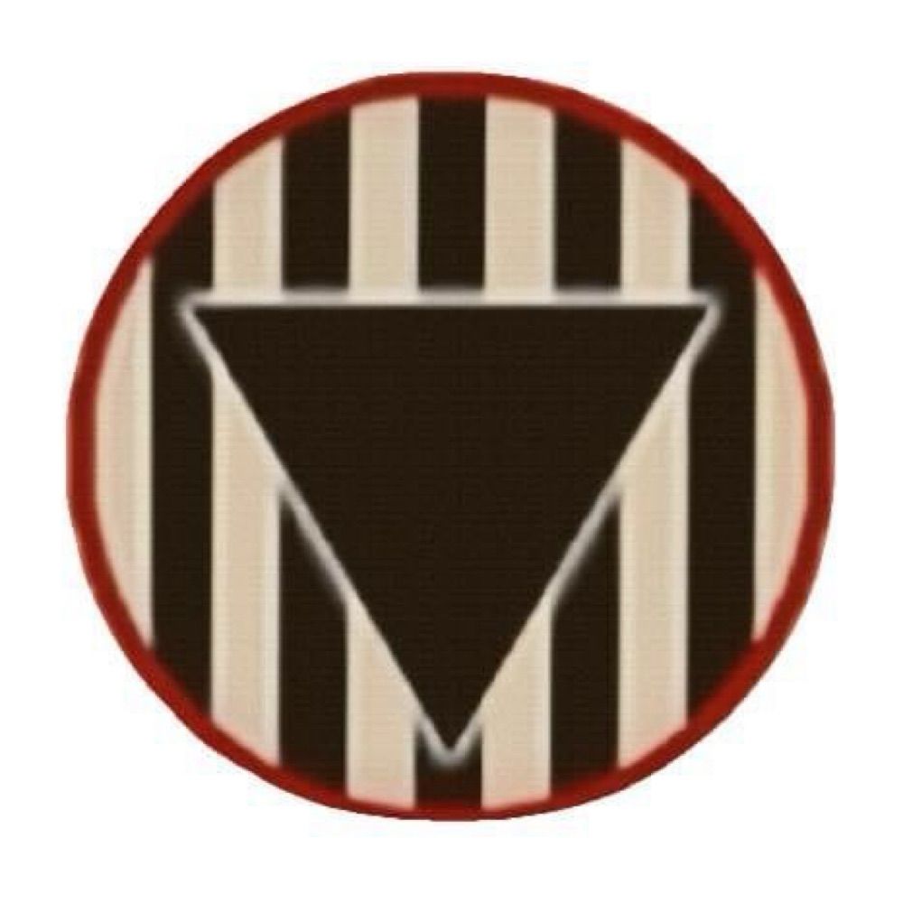 Black Triangle Anti-Defamation Campaign Disability Rights