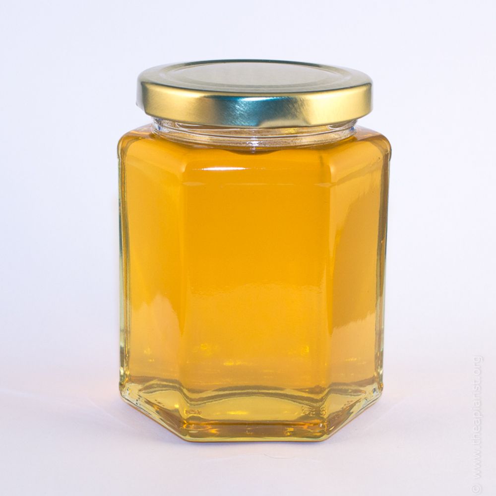 The Apiarist (David Evans)