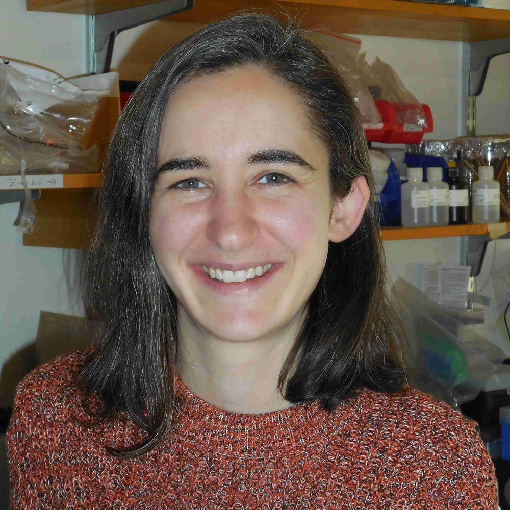 Dr. Izzy Taylor