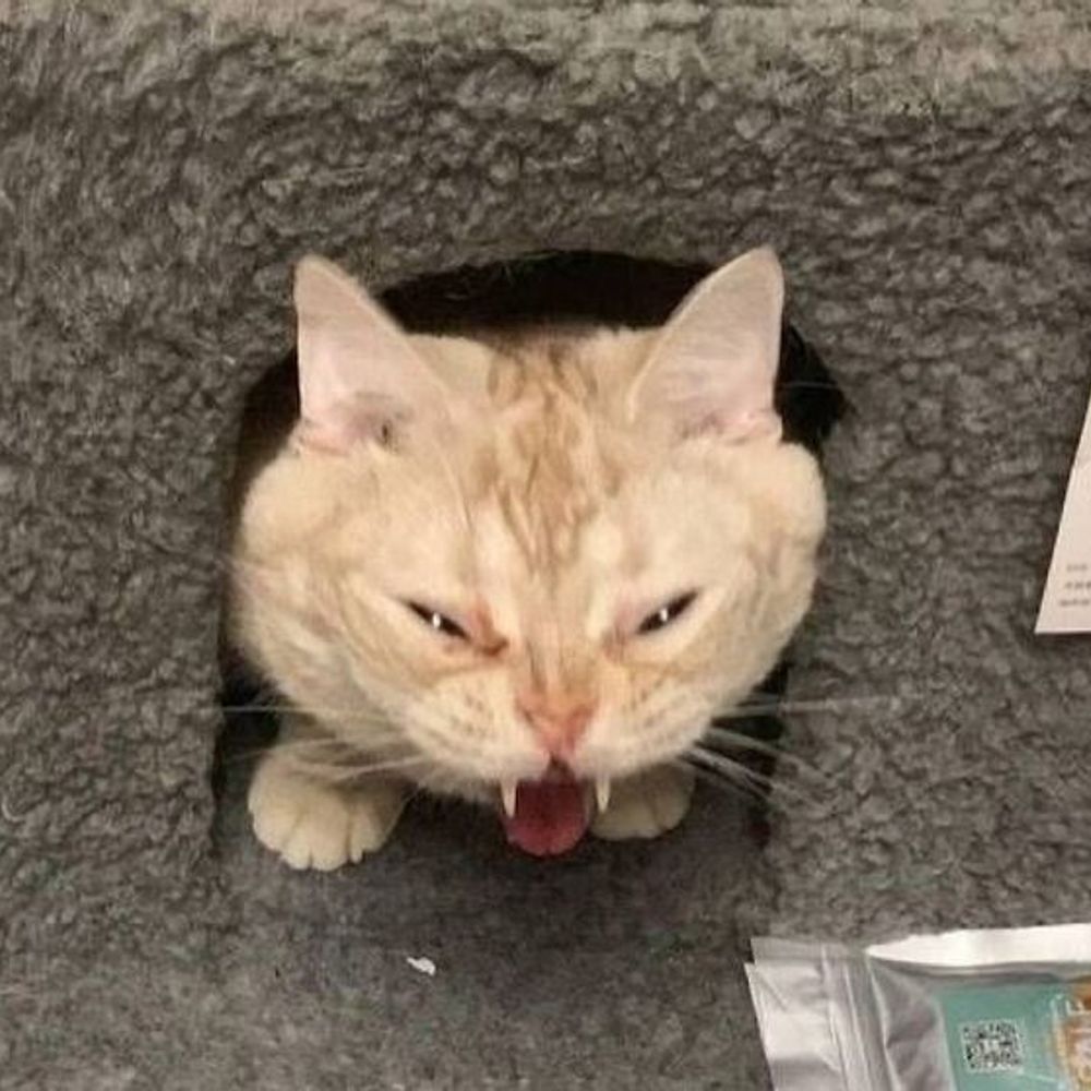 Веня!! Venya