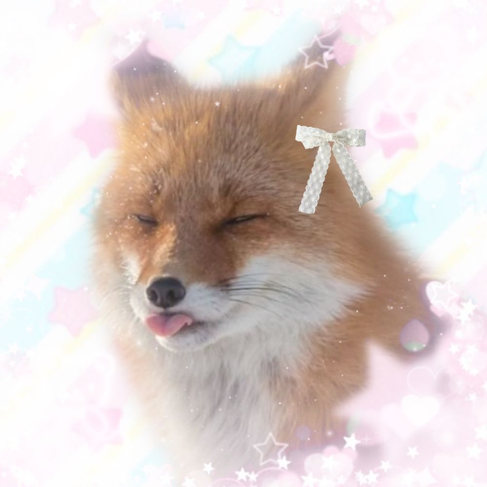 🫀🎀Kikithy🐾🦴