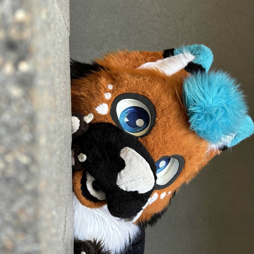 Skyline Corgi Fox 
