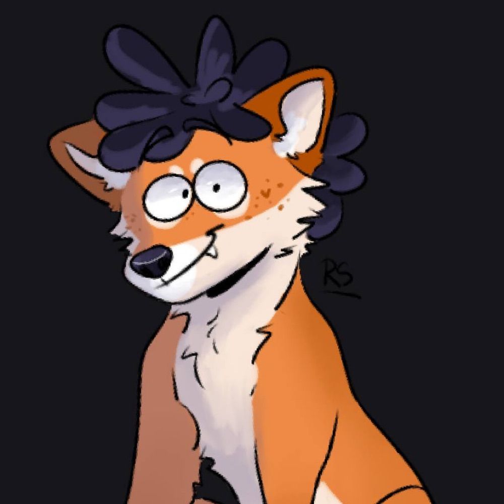Barkour Buppy