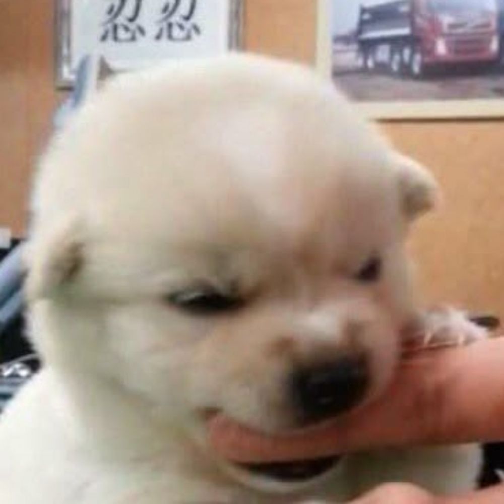 อุนม๋า