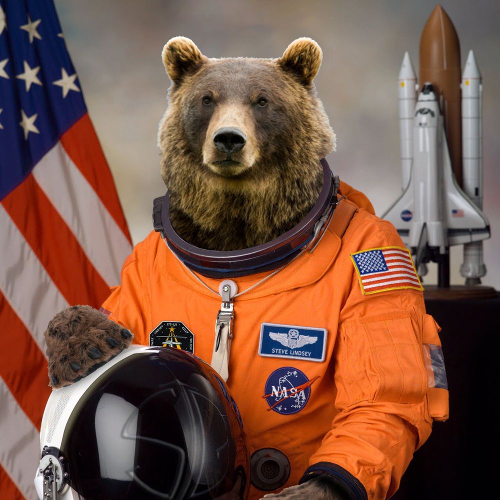 SpaceBear