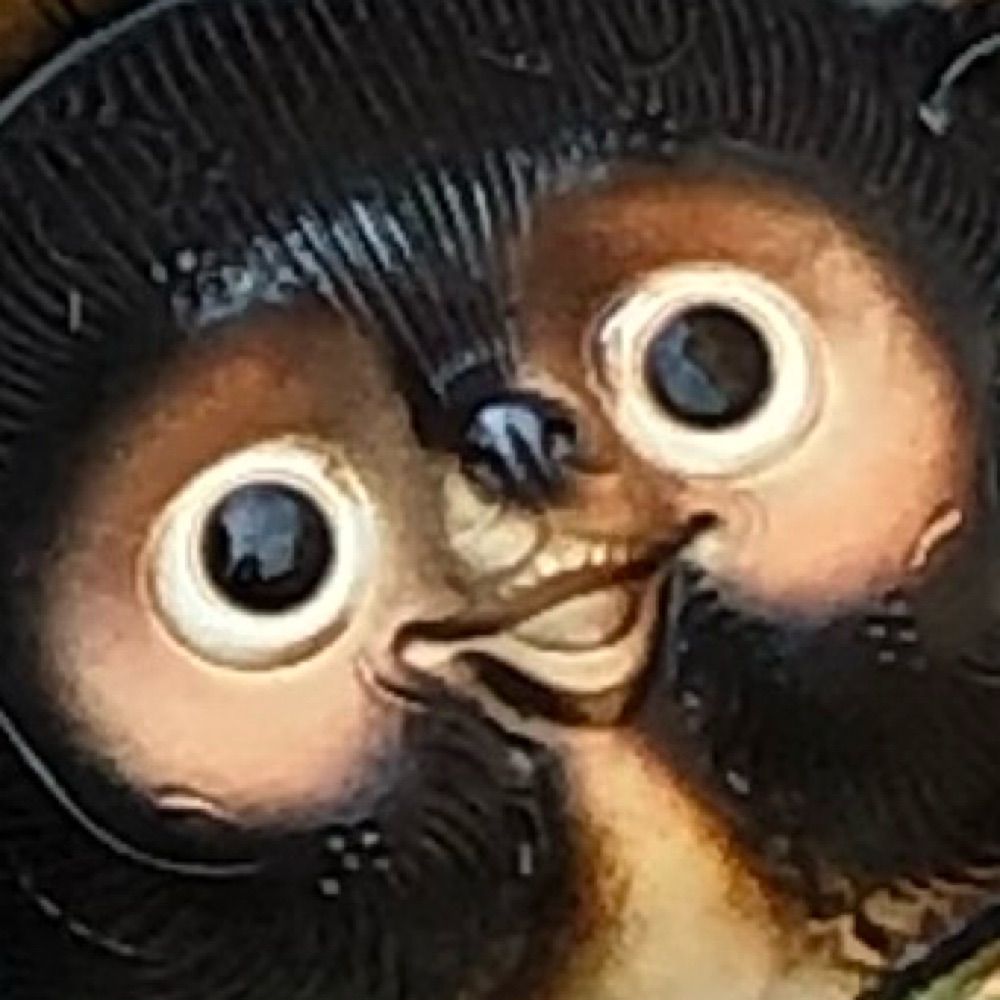 サンゴ