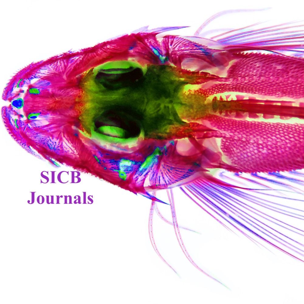 SICB journals 's avatar