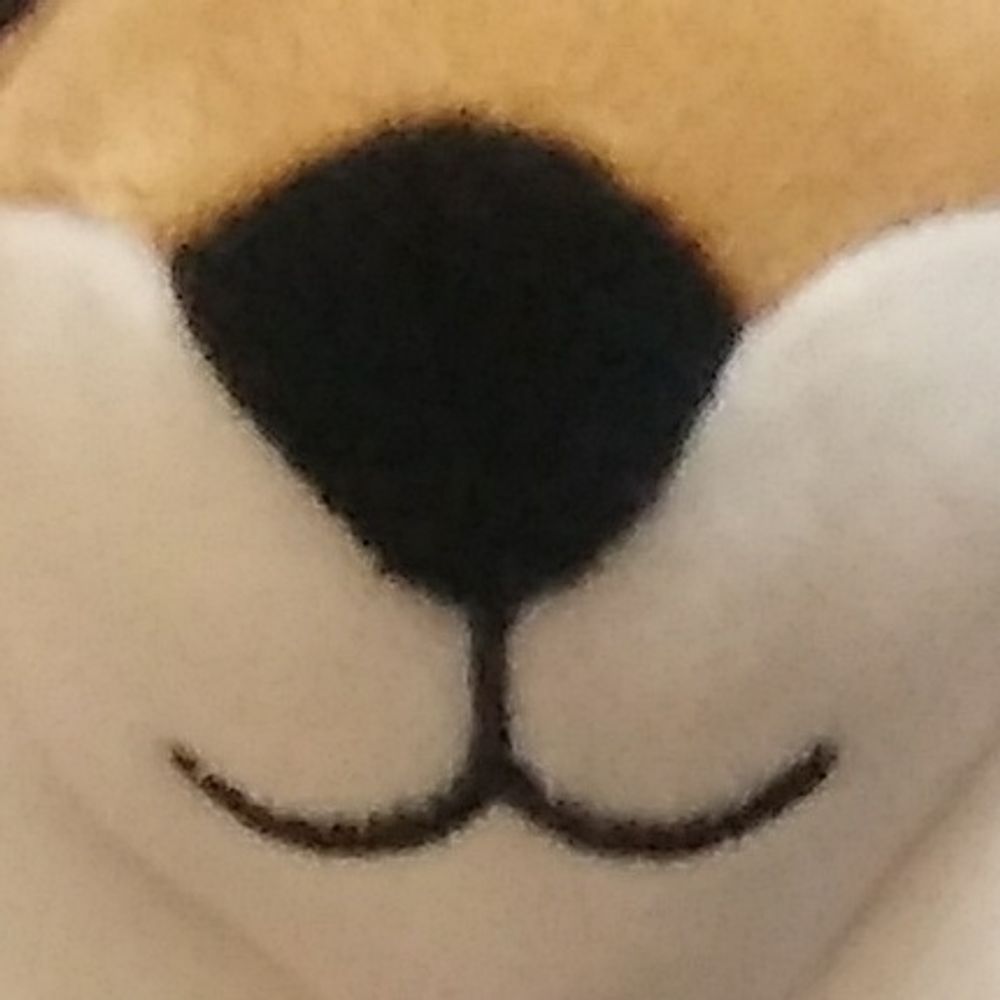 늘조
