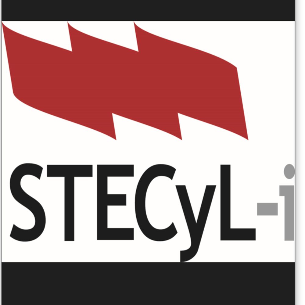 Sindicato STECyL-i