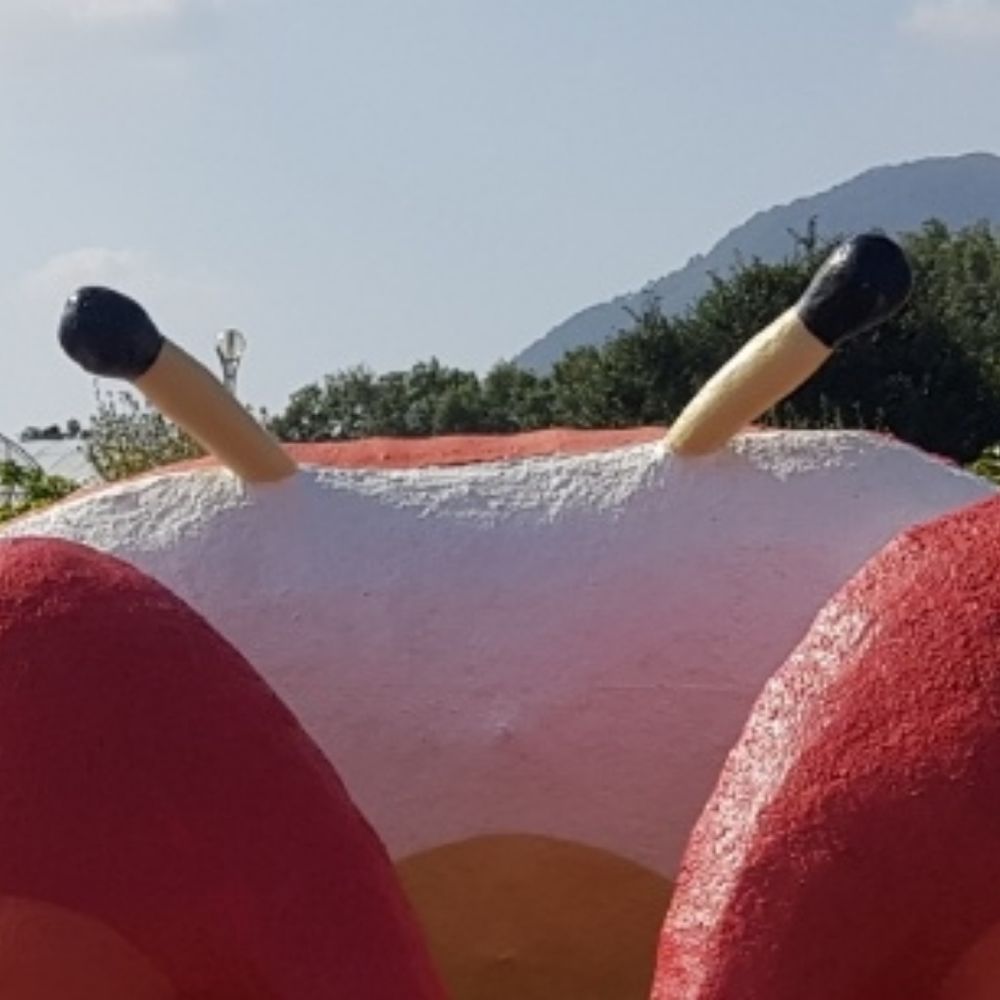 예다함