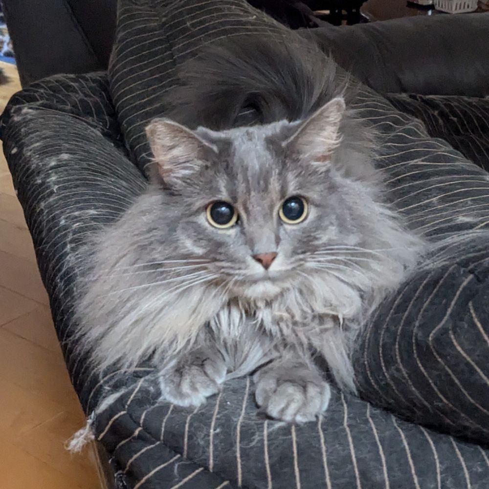 Baby Princess Lena