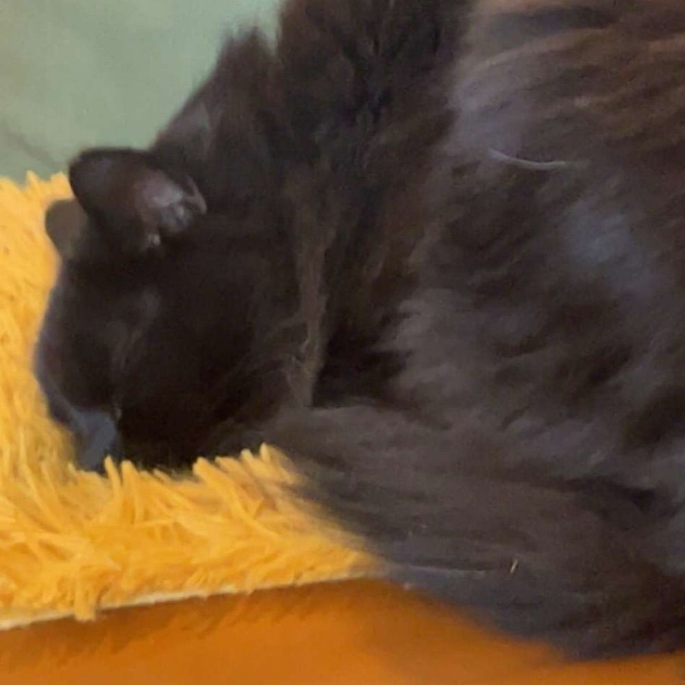 Jack