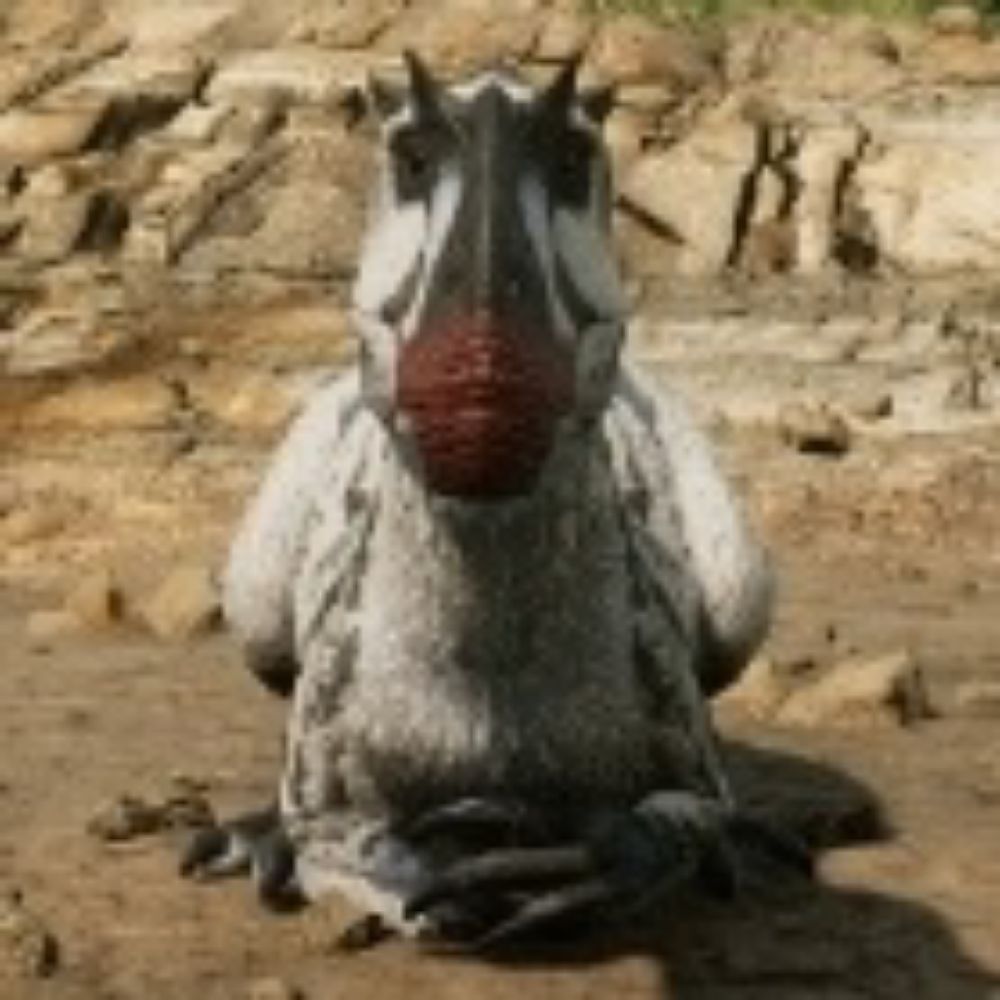 AmbiguousYutyrannus