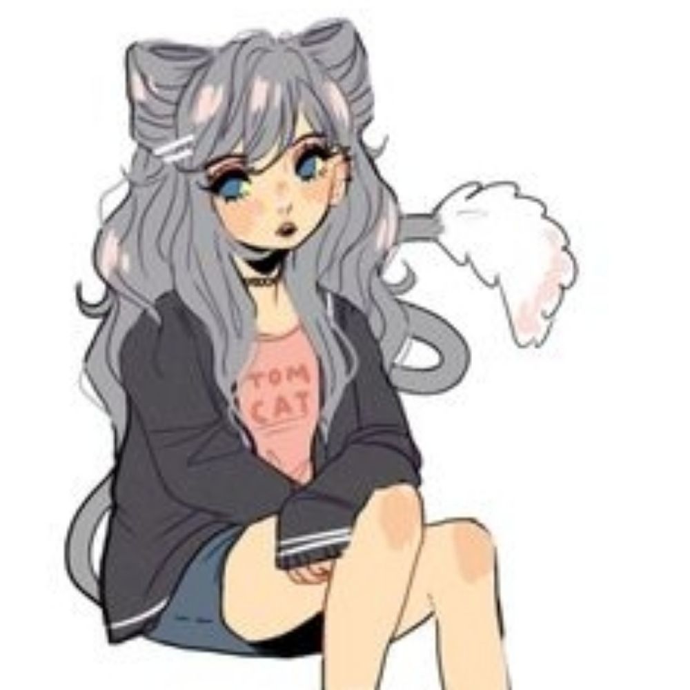 🩶🐾少女猫🐾🩶