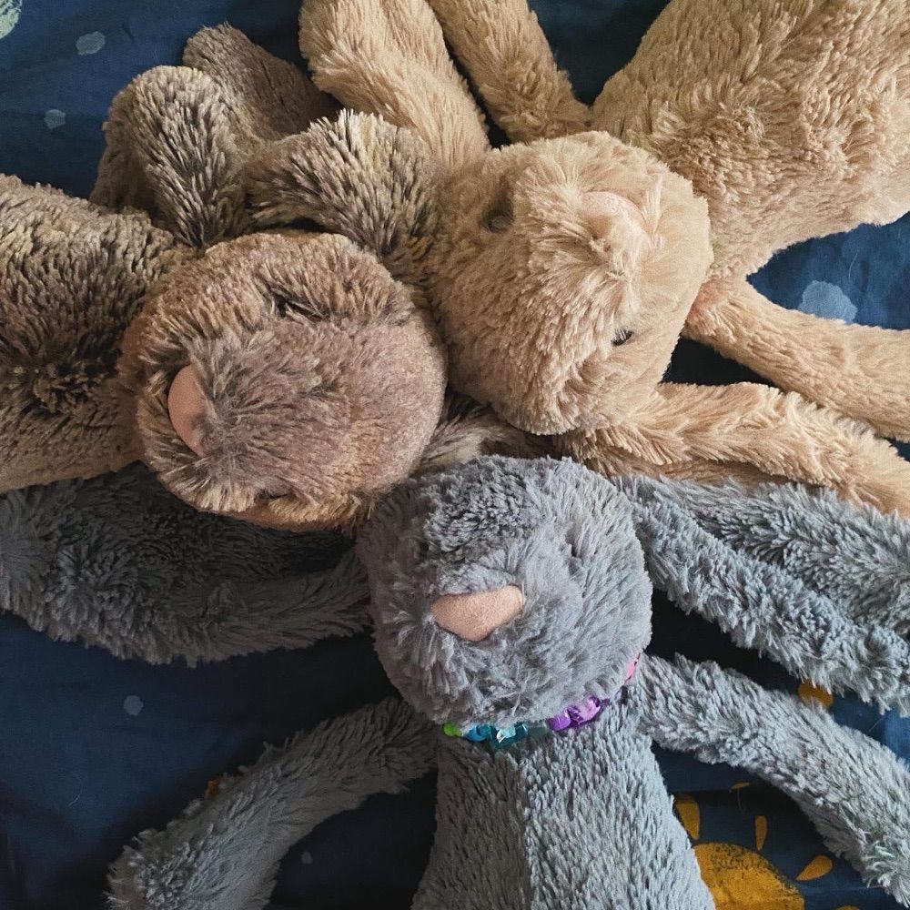 elliott 🐻