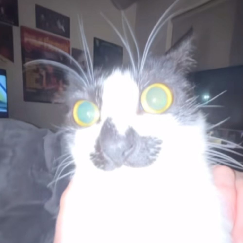 b :>