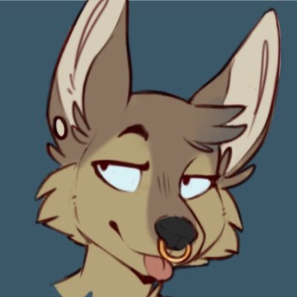 jackal on a leash