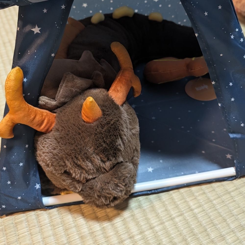 あんかけえなか