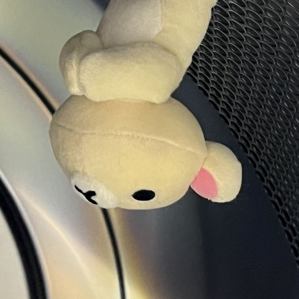 양배추