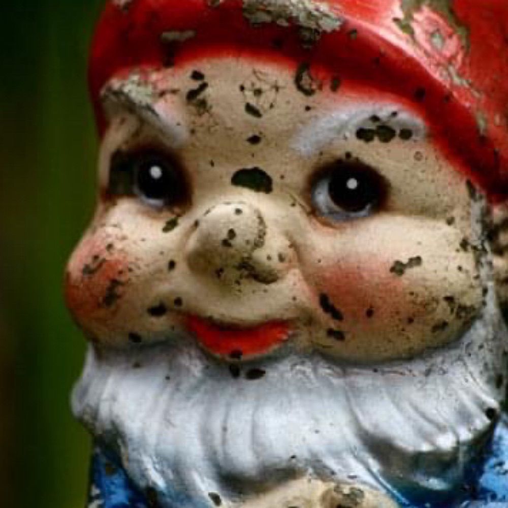 Dirty Little Gnome