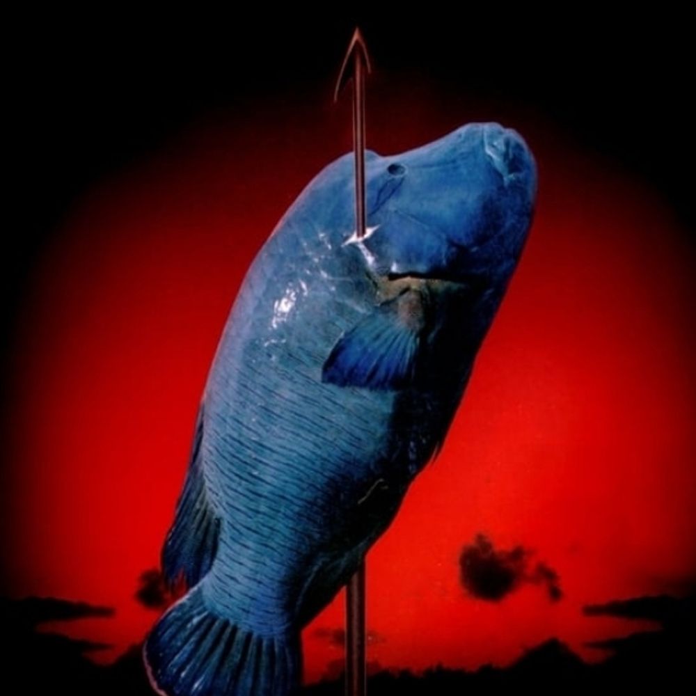 Zampanò