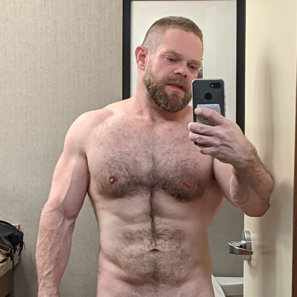 Ship Daddy