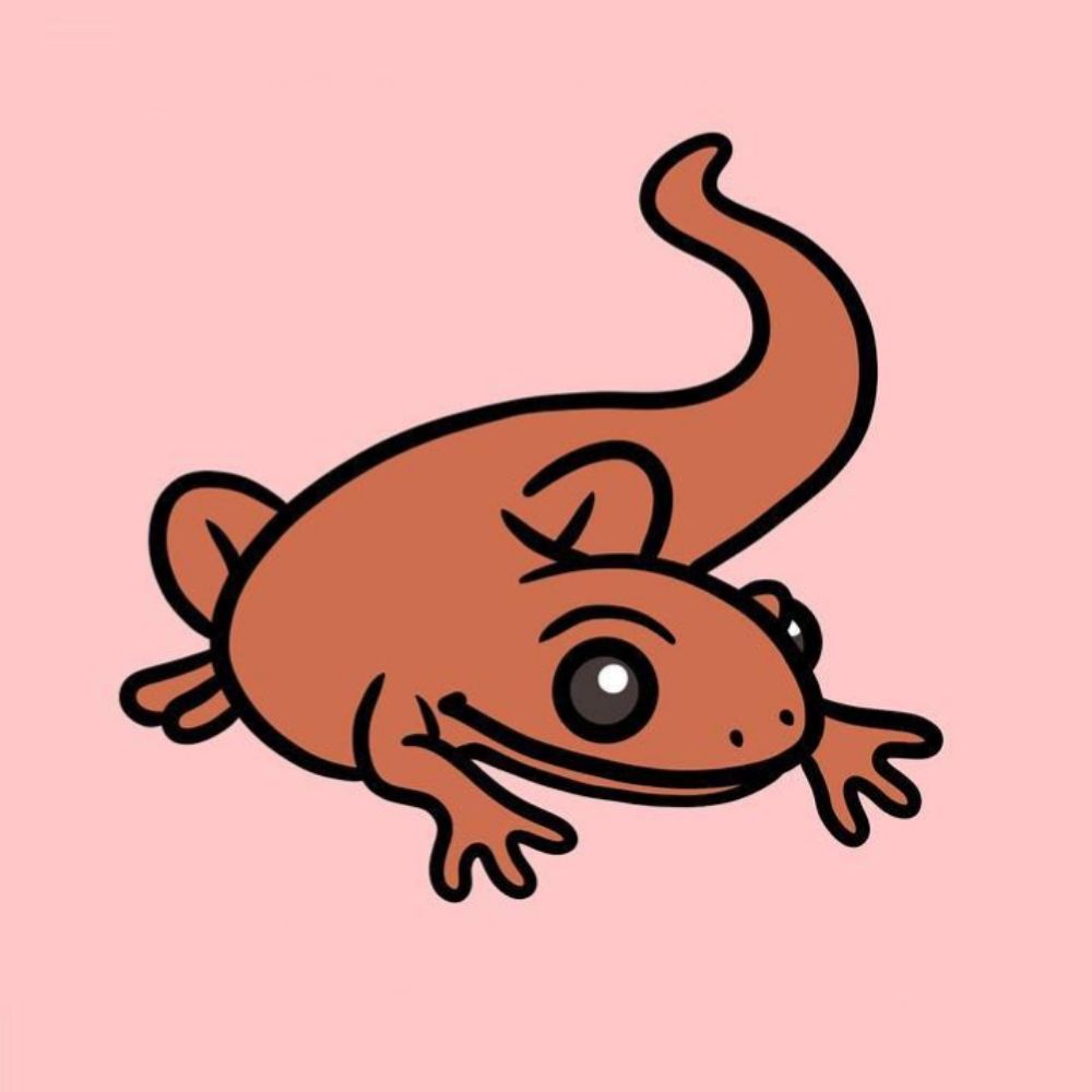 Newts :3