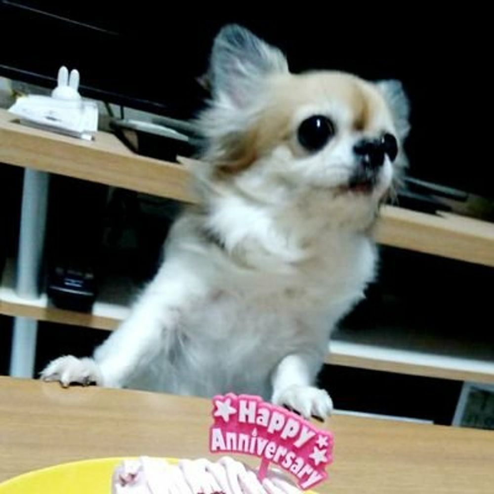 ぽん🐾画材大好き