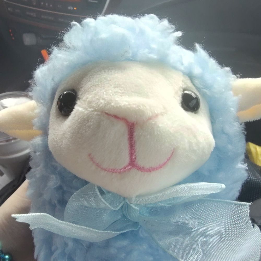 MILES ANDY