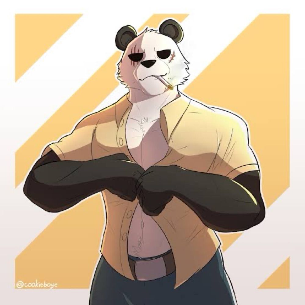 Urso versátil BH