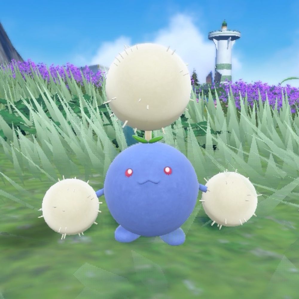 きゃな