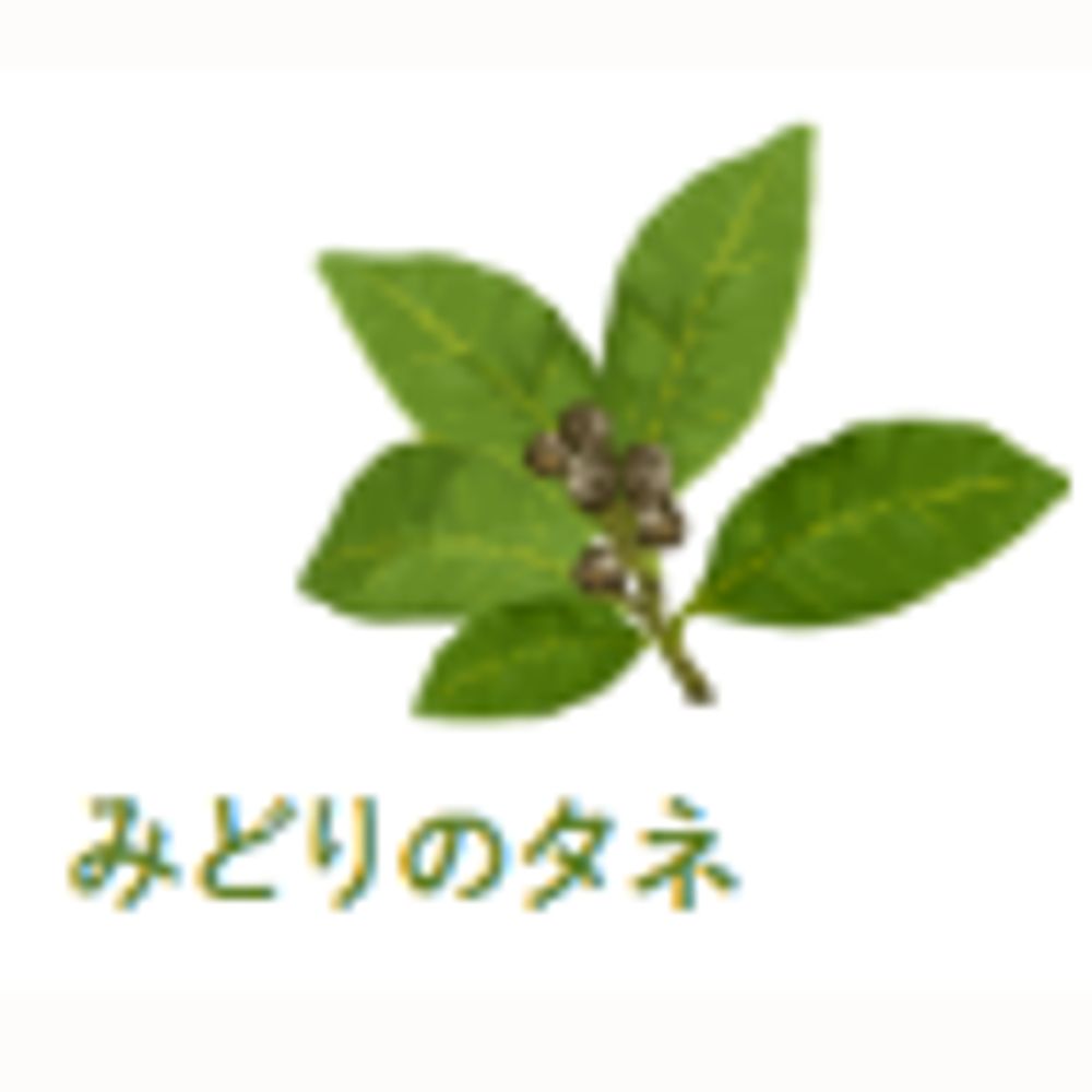 みどりのタネ「野菜・果物通販サイト」
