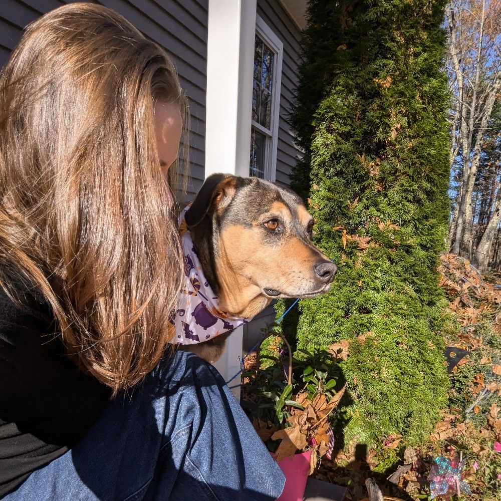 Maya
