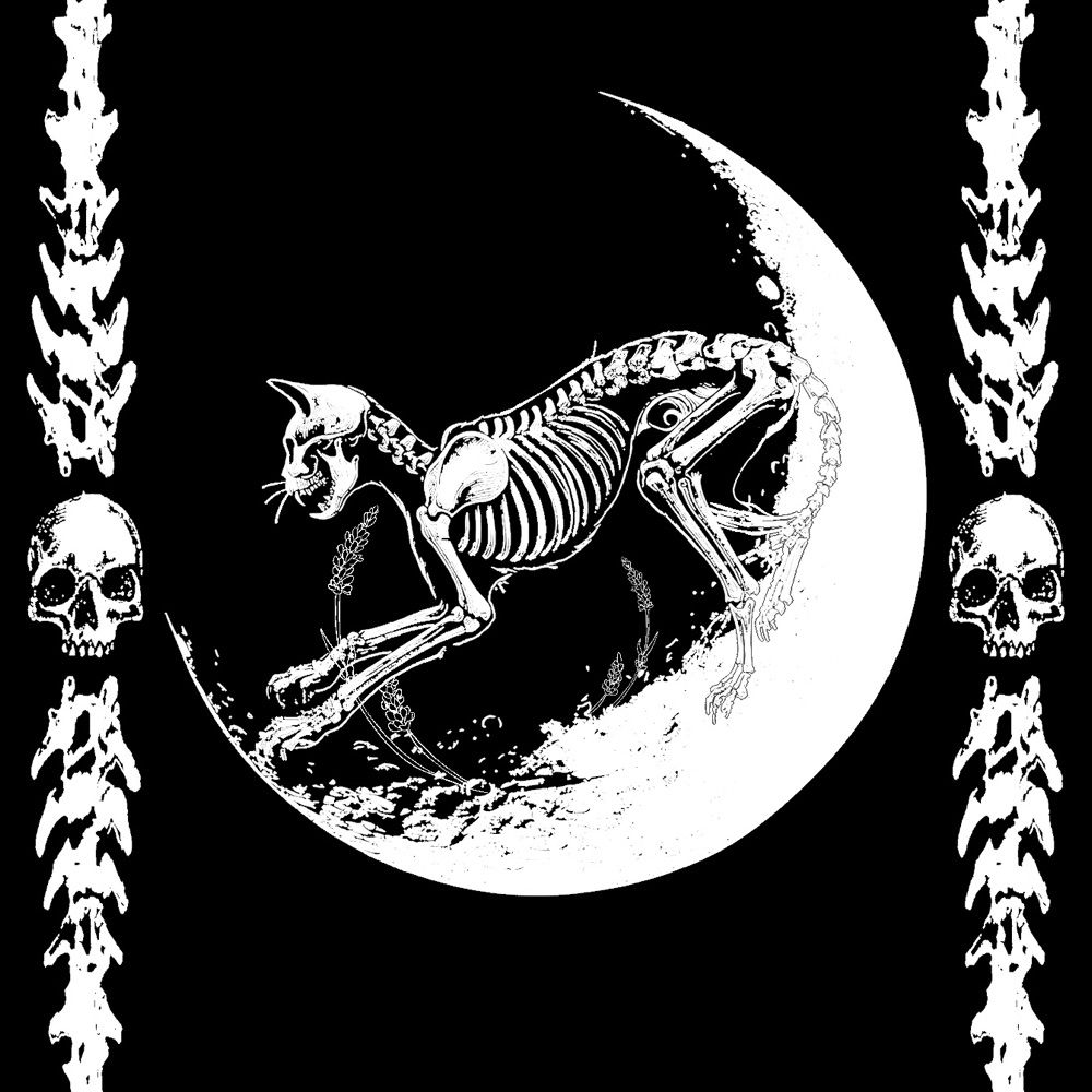 MidnightMarrow