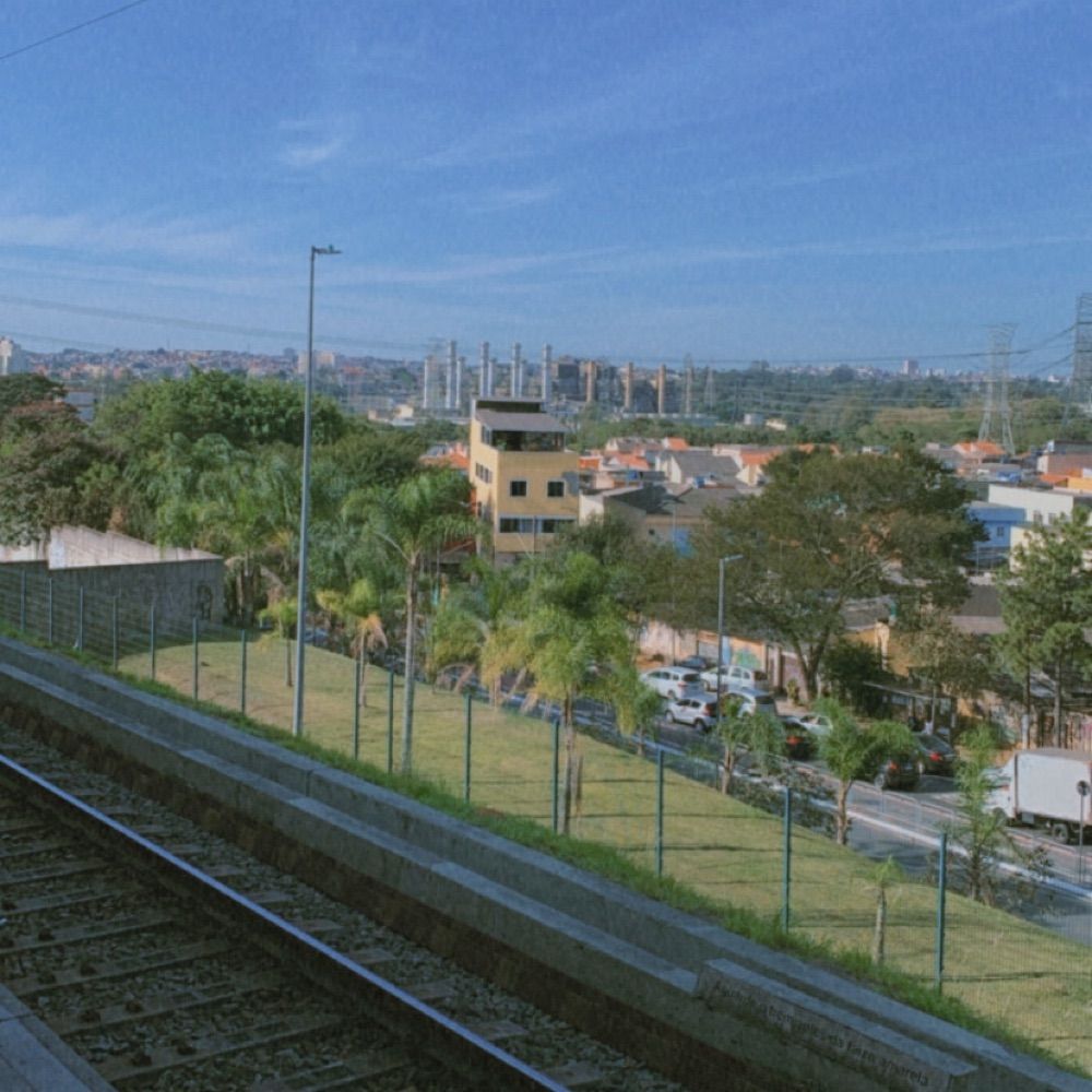 SÃO PAULO - ZS