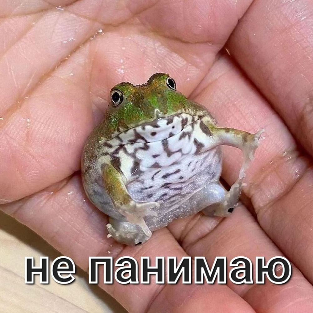 лягуха