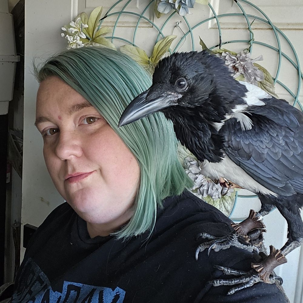 Kit @ Parrot Parade Aviary