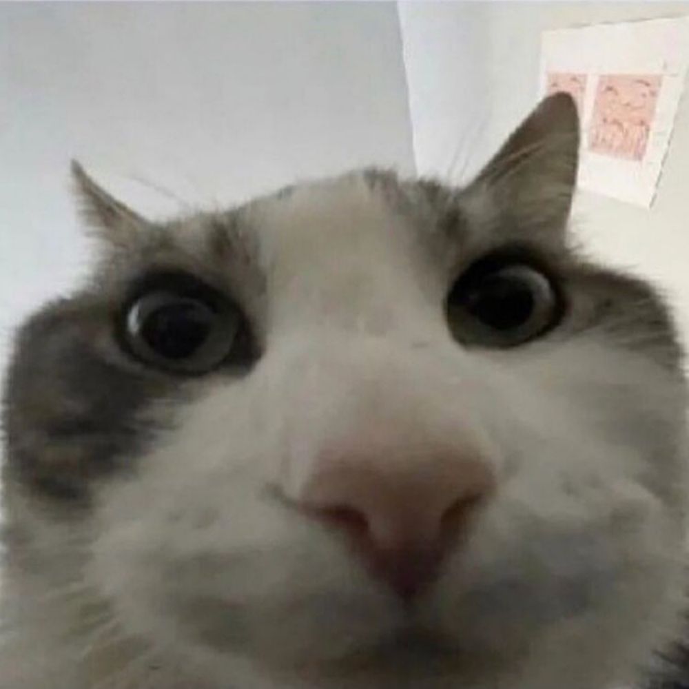 Sam