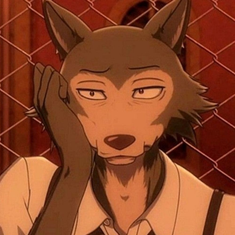 Koyi