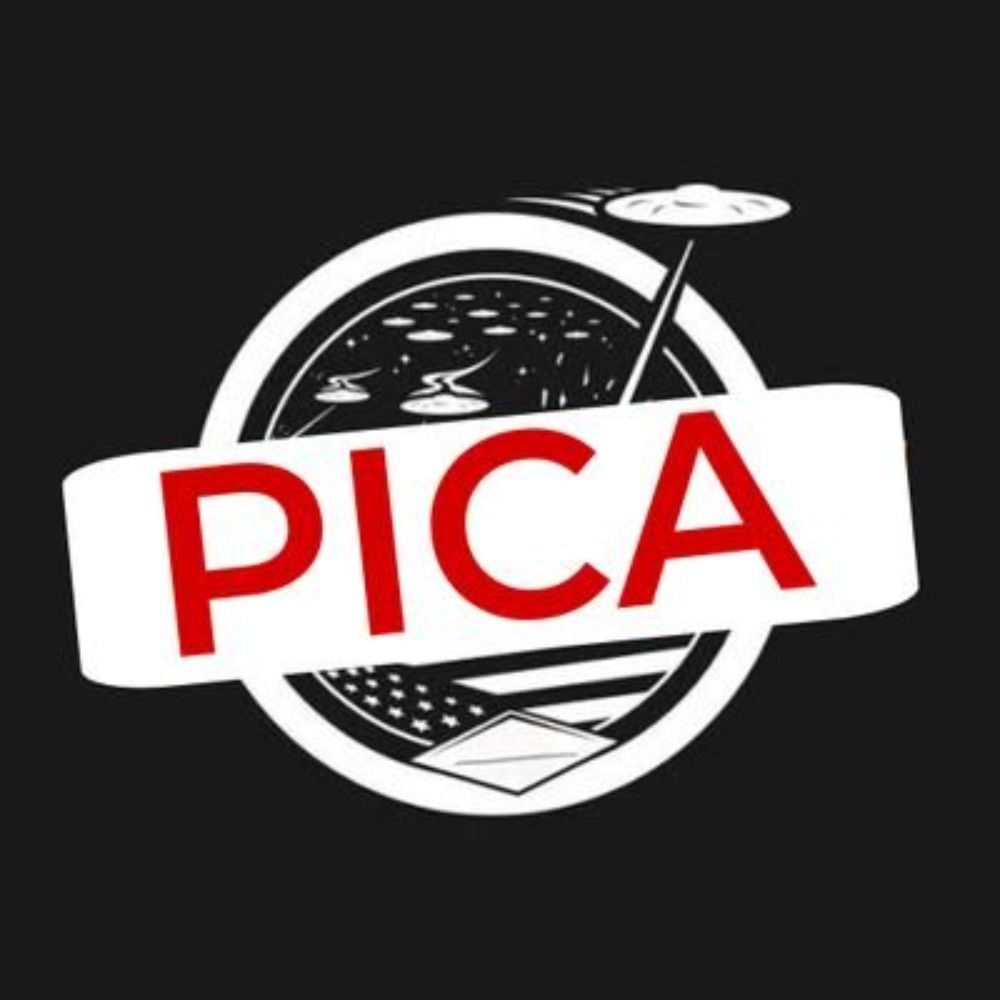 P.I.C.A Official | #ABUNDAVAICAIR