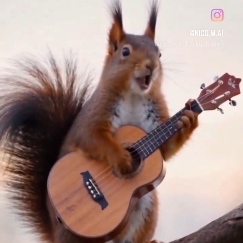 Profile picture squirrel-scramble.bsky.social