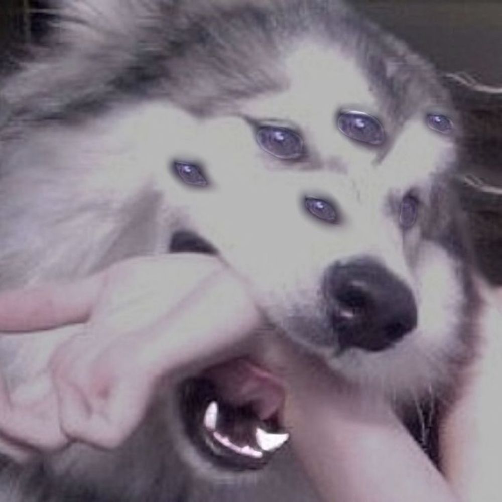 rufflmao