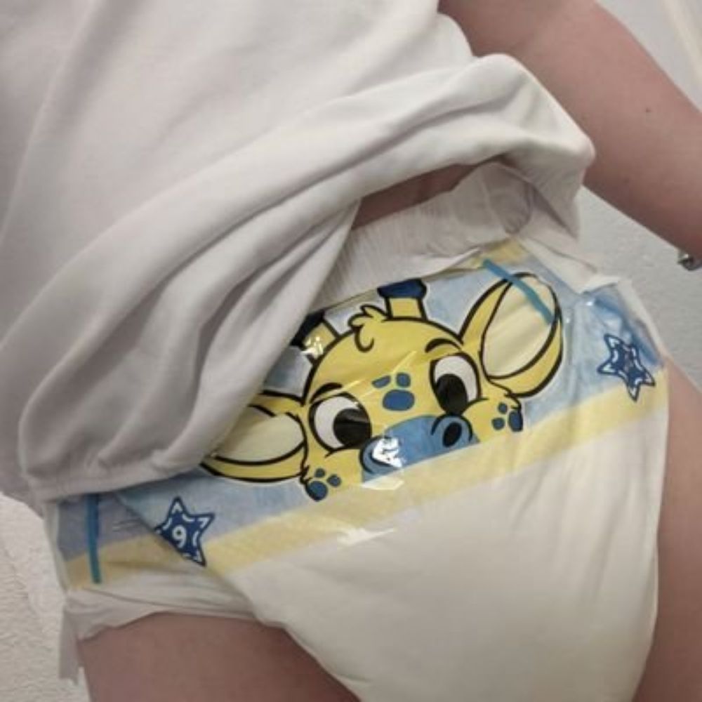 padded by the bay 🚀