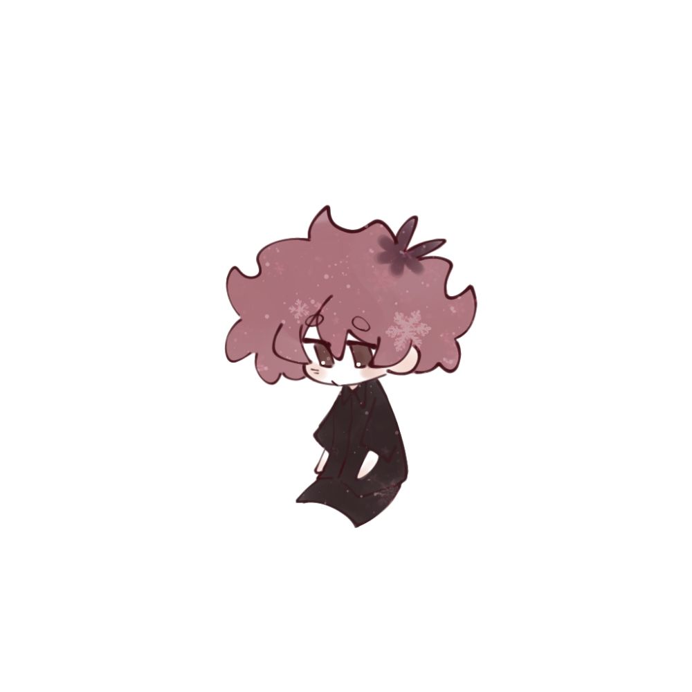 ZGatoToon ❄️