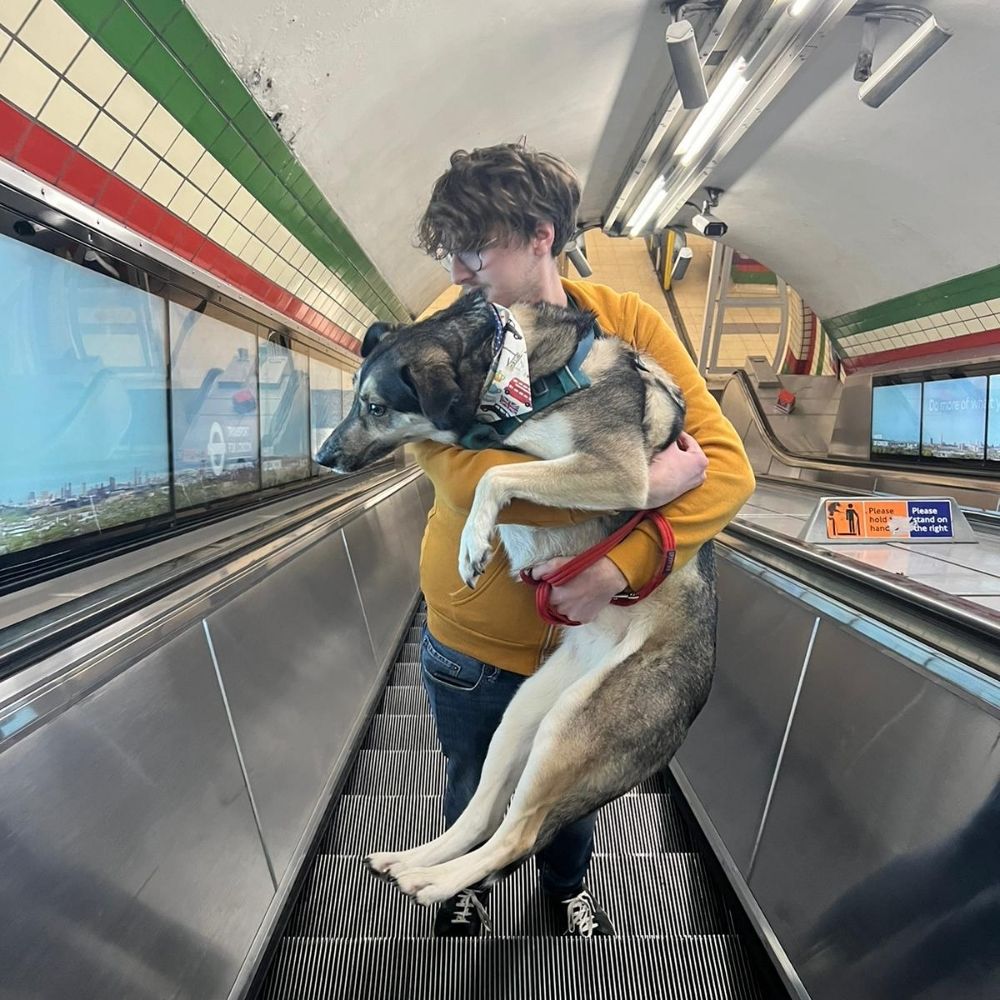 Dan Trueman