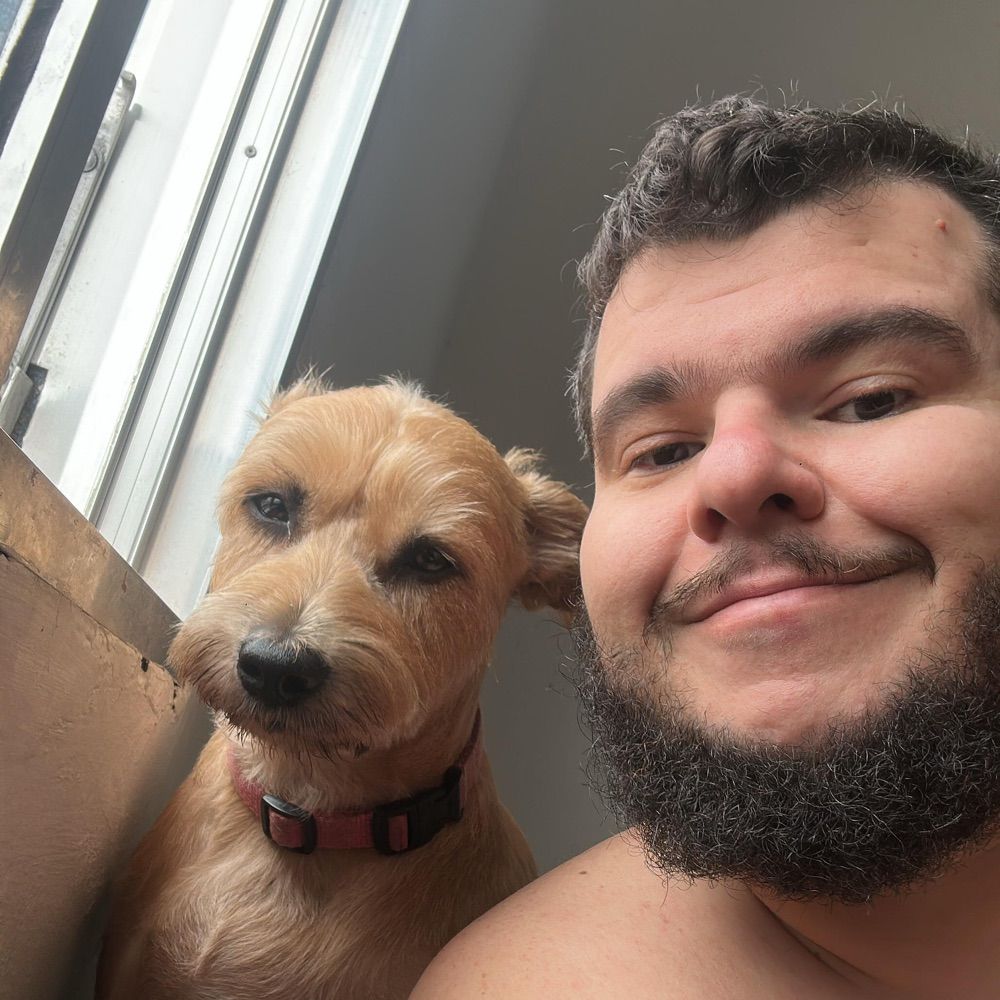 Pai da Tulipa