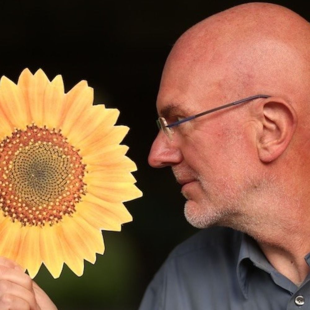 Torsten Dreyer