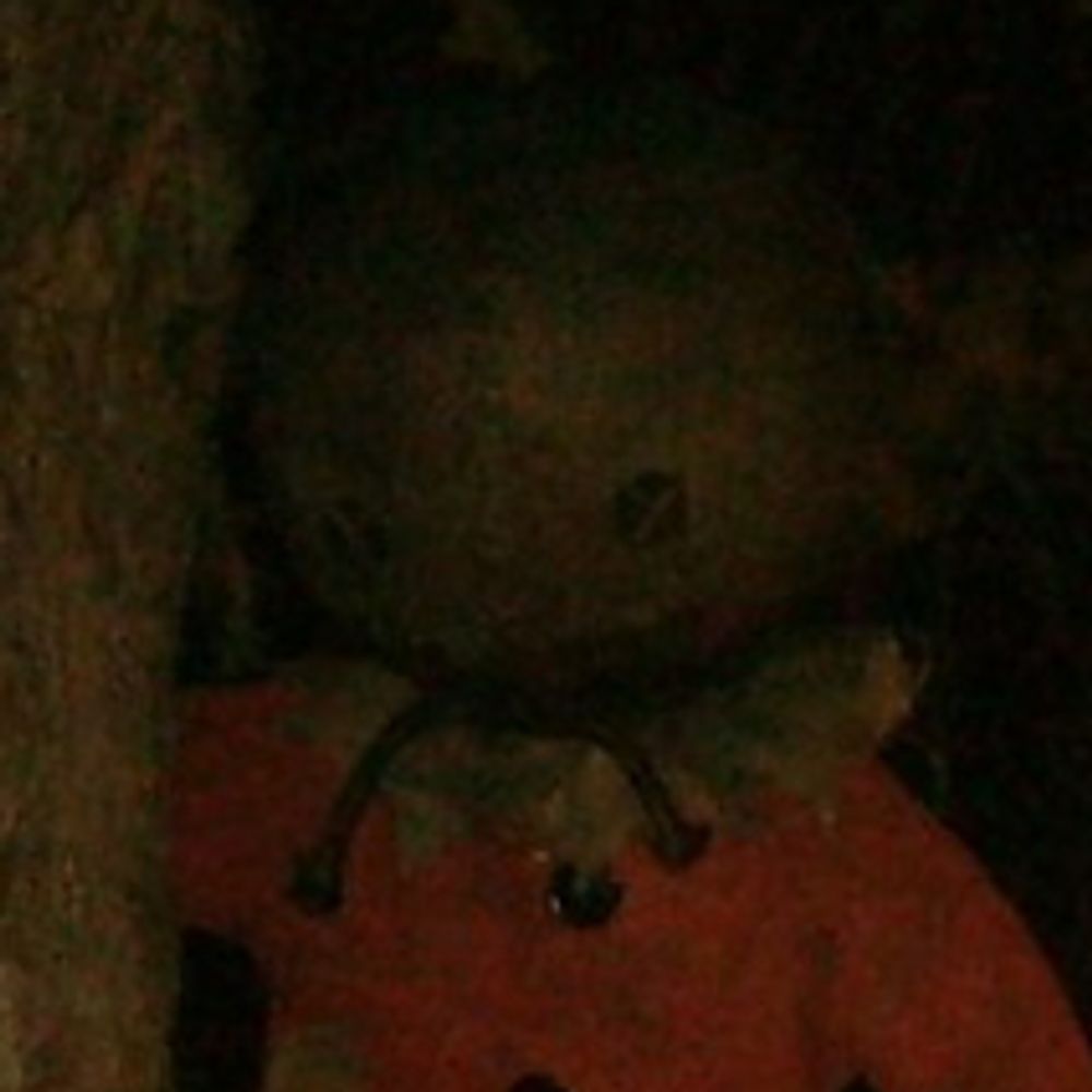 Sam