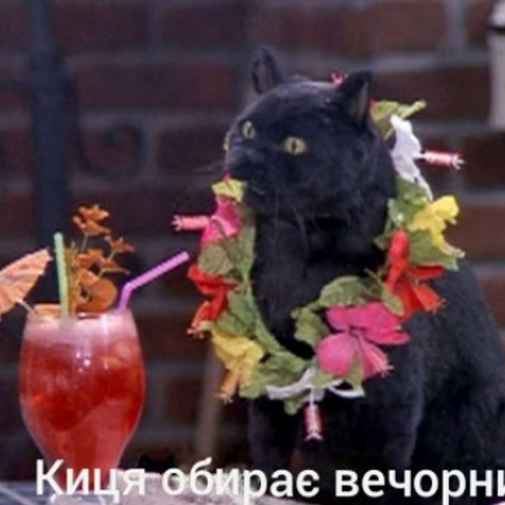 🌻в сраку соняшники🌻